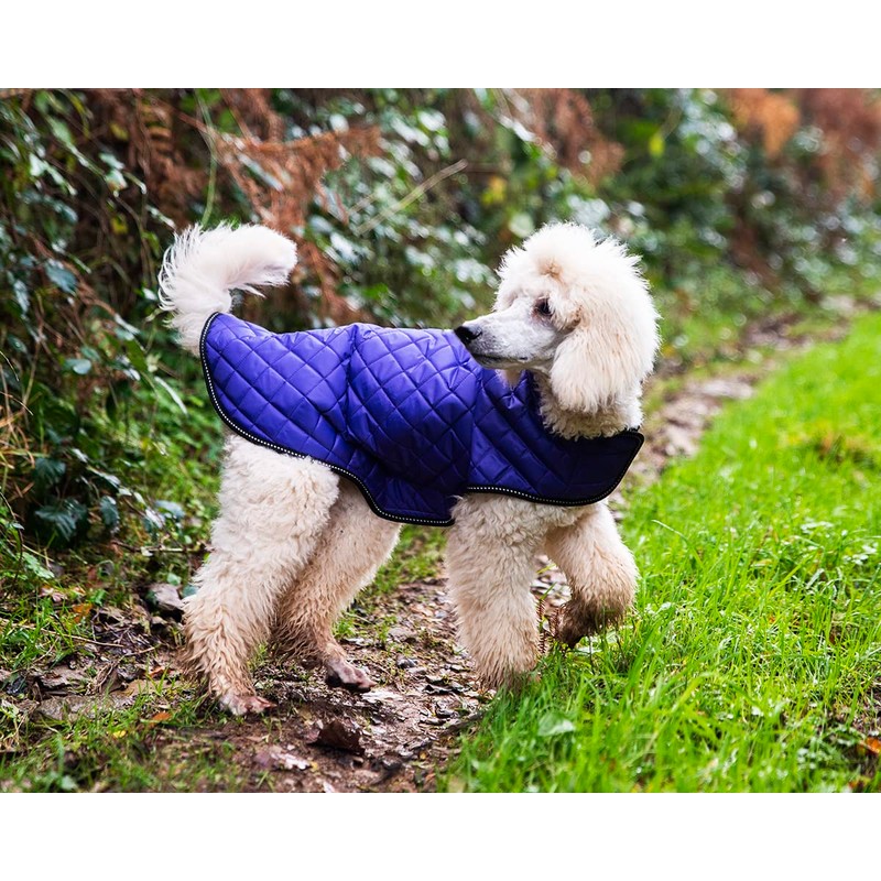 Henry Wag Quilted Dog Jacket - Stylish & Practical Dog