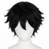TIKJOYS Short Black Layered Wig for Men Fluffy Wig Black