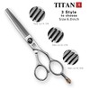 Titan Scissors | Thinning Scissors | Silver Screw Head |