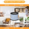 Allisfresh C102 MA-01CW True HEPA Replacement Filter Compatible with Miko