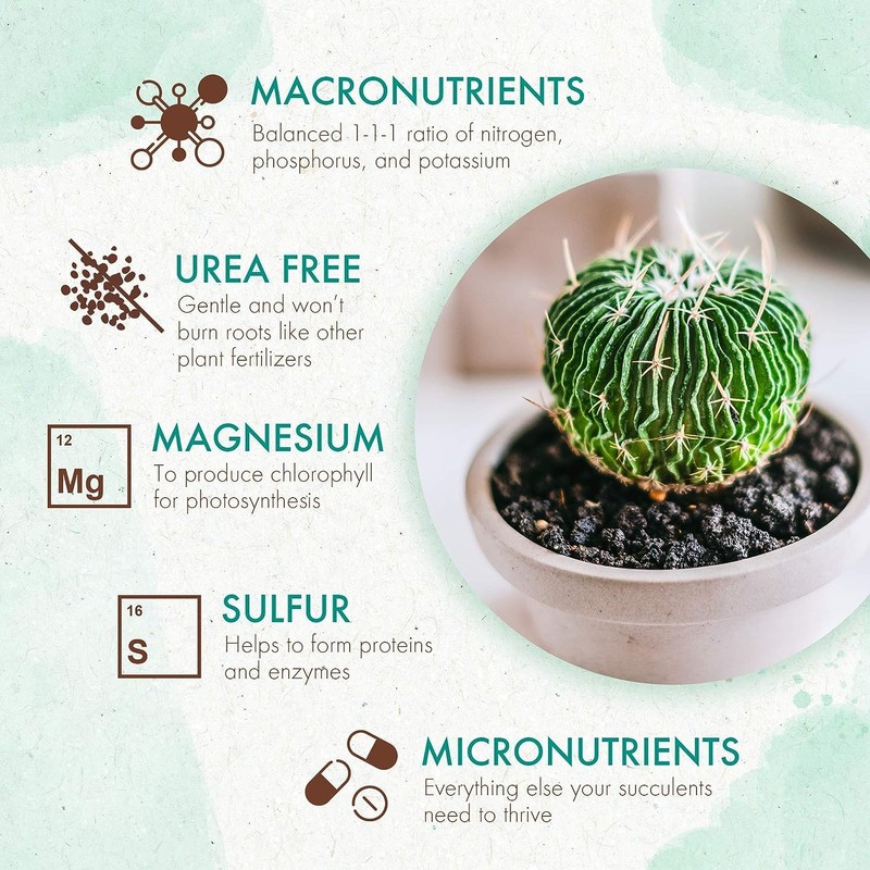 The Grow Co Succulents & Cactus Plant Food - Gentle