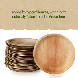 Signature Packaging - Disposable Palm Leaf Plates - Sturdy, Large Round Plates - 20cm, 25 Pack