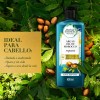 Shampoo Herbal Essences Bio:Renew Argan Oil Of Morocco 400 ml