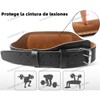 Gym Faja Lumbar Cinturón Levantar Peso Con Guantes,kit 6pcs