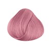 2 x New La Riche Directions semi-permanent hair colour, 88