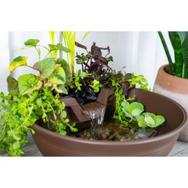 Aquascape AquaGarden Tabletop Desktop Fountain Kit with Waterfall, Meditation, Relaxation, Mocha