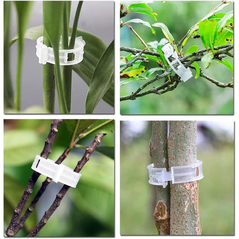 200 pcs Pinza de plástico para Plantas, Soporte de Plantas