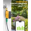 RAINPOINT Irrigation Computer WLAN 2.4GHz with Brass Inlet, Automatic Garden