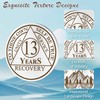 IELCJJ 13 Years Triplate Sobriety Coin - Sobriety Chip -