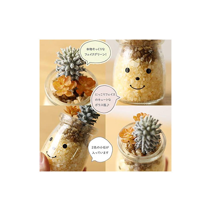 Kishima Deodorizing Goods General Green φ2.2 x H4.1 inches (5.5