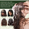 Rosemary Oil for Hair,100ml Natürlich Hair Growth Oil,Veganic Natürliches Haarwuchsöl,Rosmarin-Haarwuchsöl