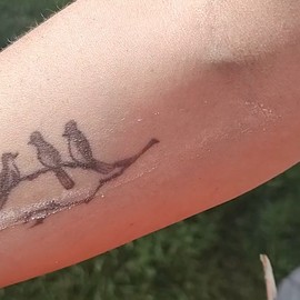 Unbranded Tallow Coffee Infused Eye Cream, Whipped Balm Caffeine Under Eye Face Cream