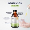 HEBBE - Aceite de Neem | Mejora, Repara y Protege