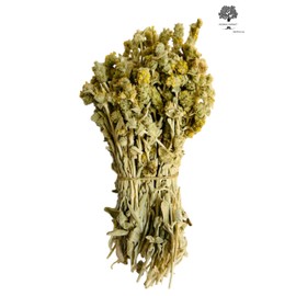 Greek Mountain Tea Malotira Sideritis Syriaca - 460 Grams