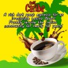 Cafe Caribe Decaf Latin Inspired Ground 100% Espresso Roasted Coffee