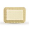 DISPOSABLE GREEN® | 24 cm x 18 cm Rectangle Tray