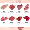 BANILA CO Glow Veil Tint 3.8g*2ea, Color1#$%Color2:RD02 Rosy Shell-PP01 Dusty