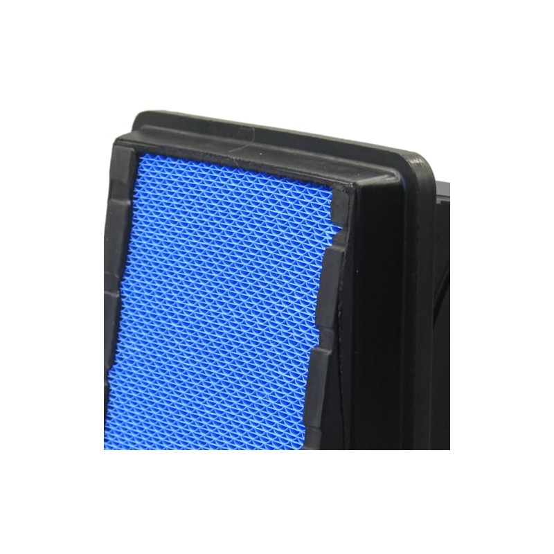 LIFATOOM P623400 Engine Air Filter Replaces 2517298C1，WA10804，PA32001，93785，93786，P616050，P635170