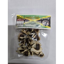 Real Jamaican Herb Moringa Dried seeds 10g,