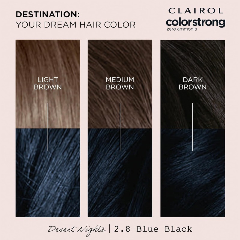 Clairol ColorStrong Permanent Zero Ammonia Hair Dye, 2.8 Blue Black