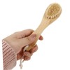 Baluue Skin Cleaning Brush Facial Cleansing Tool Natural Boar Bristles