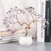 TUMBEELLUWA Reiki Crystal Bonsai Tree with Ceramic Bowl Base Fengshui