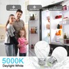 6W E26 Small Globe LED Bulb 60W Equivalent G45/A15 E26