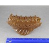Brown leaf hair clip claw butterfly clamp 4 inches long