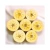Santiam Nursery Japanese Gunma Honey Apple Tree, Bare root,