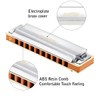 East top 10 Holes Professional Diatonic Blues Harmonica Key of