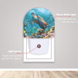 Axxitude Bird Cardinal Night Lights Plug into Wall for Girls Boys Room,Night Light LED Lamp Dusk to Dawn Sensor Round Lamp for Bedroom Bathroom Hallway Home Wall Decor (Underwater World Turtle Coral)