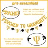 Psyched to Graduate Banner - Psychology Students Class of 2025