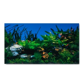 Aqua Culture Aquarium Background for 10 Gallon Tanks BACKGROUND-01A