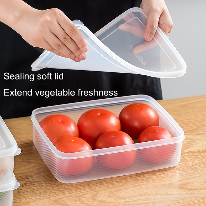 WonLiq Lettuce Keeper, Salad Keeper Container Lettuce Crisper, Keep Vegetables