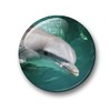 Merchandise for Fans 01 Fridge Magnets with Dolphin Sea Creatures