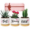 Nanny Gifts, Nanny Christmas Birthday Gifts, Best Nanny Ever Succulent Pots Gifts for Nanny from Grandchildren, Unique Garden Gift Ideas for Nanny on Christmas Birthday Mothers Day, Presents for Nanny