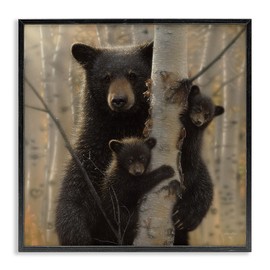 Stupell Industries Bear and Cubs Soft Birch Tree Forest, Design by Collin Bogle Black Framed Wall Art, 24x24, Brown