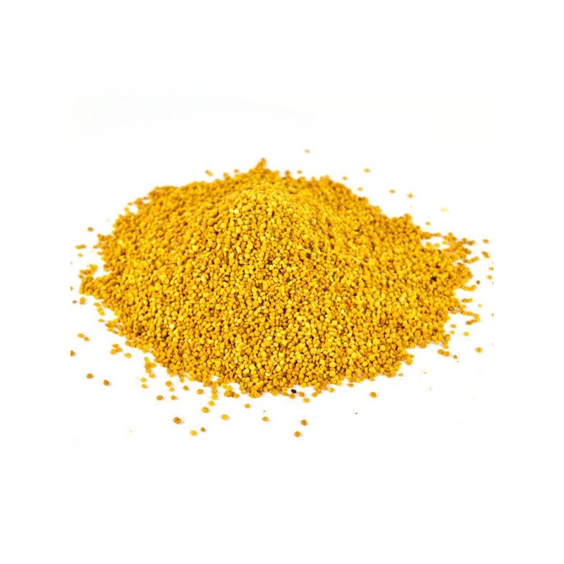 천연 벌화분 500g 먹는 꿀벌 화분 도토리화분(건조화분) Natural Bee Pollen