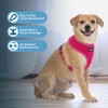 Best Pet Supplies Voyager Aerolite Adjustable No Pull Dog Harness