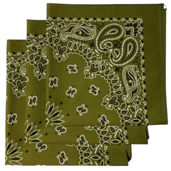 burlapfabric.com Paisley Bandanas for Men and Women 3-Pack - 22"