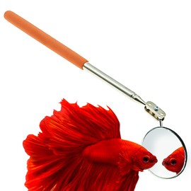 JOR Betta Training, Dog & Cat Teeth Mirror, Early Detection for Oral Issue, Vet-Backed Care of Tooth Issues, Clear Chew Accessory Debris