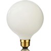 LED Large Globe Light Bulb Dimmable E26, G40 LED Bulb
