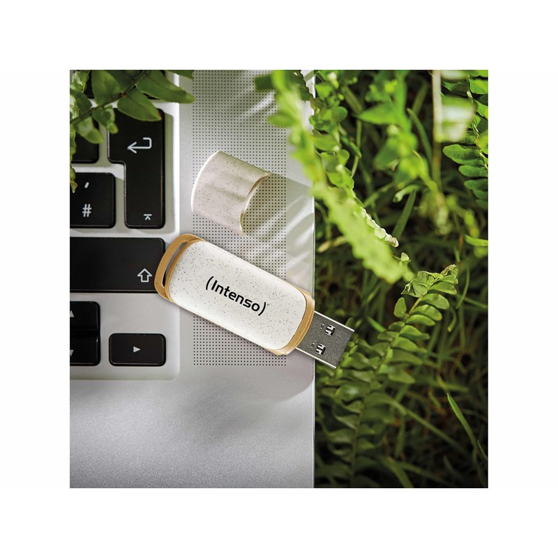 Intenso USB Stick USB 3.2 Gen 1x1 Green Line 32