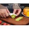 WELLSTAR 2.5 Inch Birds Beak Paring Knife, Sharp High Carbon