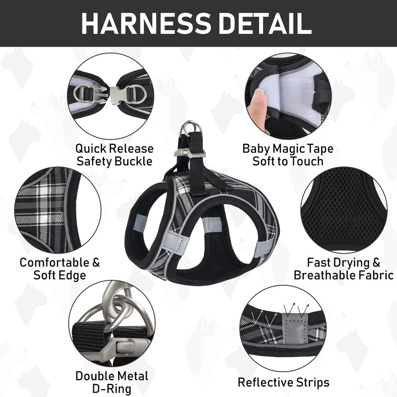 GAMUDA Small Dog Harness Collar and Leash Set, Step in