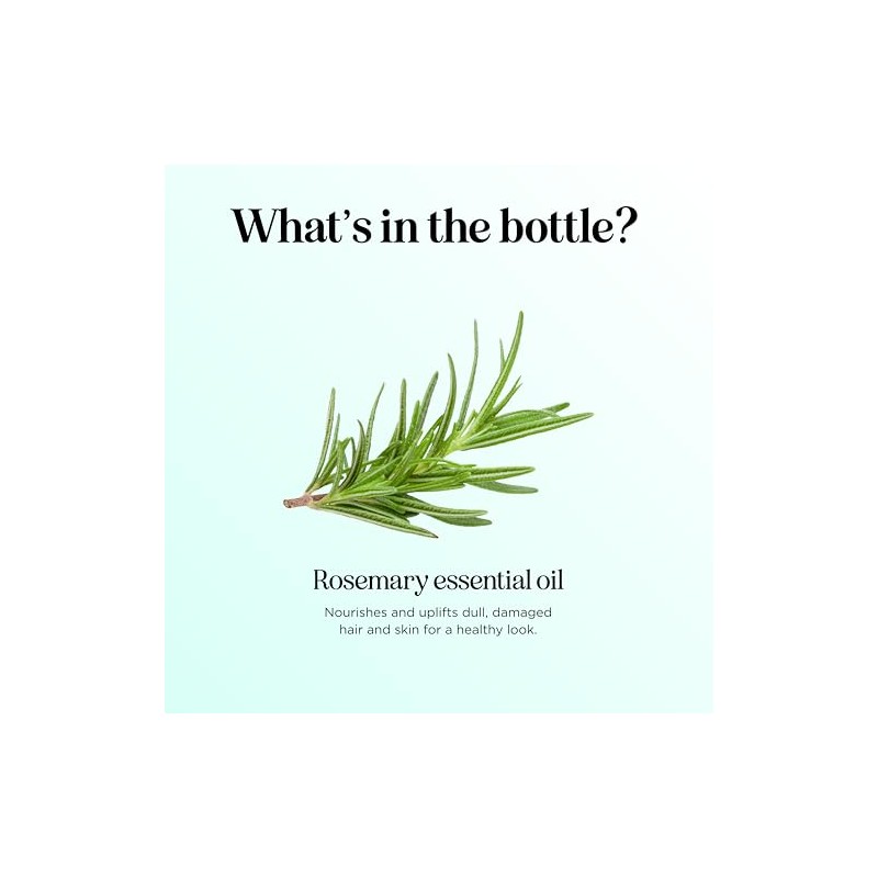 Maple Holistics Aceite esencial de romero sin diluir con cuentagotas