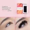 LLBA Easy Fan Eyelash Extensions | 0.03~0.07mm Thickness | C