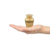 Immortal-Memories Serenity Keepsake Urn for Ashes - Miniature Urns -