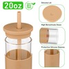 Tronco 20 oz Glass Tumbler with Lids and Straws, Reusable