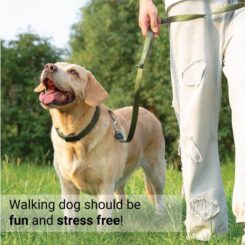 SVD.PET Dog Prong Collar for No-Pull Training, Quick-Release Buckle Adjustable